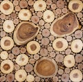 Texture pattern of round teak wood stump circle background