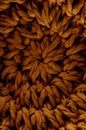 Brown Textured Braided Vimini Background