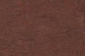 Brown textured cardstock paper closeup background Royalty Free Stock Photo