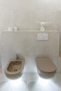 Brown toilet and bidet. Economic toilet white flush press with two separate buttons for flushing toilet. Bottom light. Shelf with