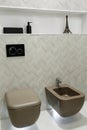 Brown toilet and bidet. Modern wc interior. Economic toilet black flush press with two separate buttons for flushing toilet. Shelf