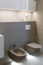 Brown toilet and bidet. Modern wc interior. Economic toilet white flush press with two separate buttons for flushing toilet.