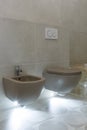 Brown toilet and bidet. Modern wc interior. Economic toilet white flush press with two separate buttons for flushing toilet.