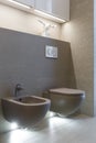 Brown toilet and bidet. Modern wc interior. Economic toilet white flush press with two separate buttons for flushing toilet.