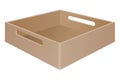 Brown tray box with grab handles