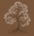 Brown tree