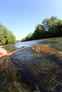 Brown trout in fishing net Royalty Free Stock Photo