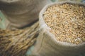 brown grain rice in burlap sack bag Royalty Free Stock Photo