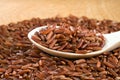 Brown unpeeled rice on a wooden spoon against a blurred background