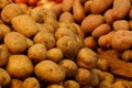 Brown vegetative natural texture of potato in a heap Royalty Free Stock Photo