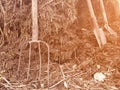 Brown vintage background of a straw manure pile from livestock