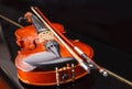 Brown vintage violin Royalty Free Stock Photo