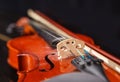 Brown vintage violin Royalty Free Stock Photo