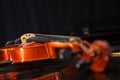 Brown vintage violin Royalty Free Stock Photo