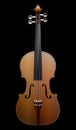 Brown violin on black background