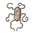 Brown virus icon in cartoon style isolated on white background. Viruses and bacteries symbol stock vector illustration.