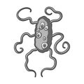 Brown virus icon in monochrome style isolated on white background. Viruses and bacteries symbol stock vector