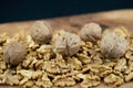 Brown wallnut kernels