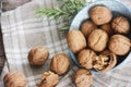 Brown walnut in a hard shell Royalty Free Stock Photo