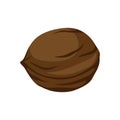 Brown walnut icon.