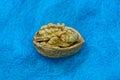 A brown walnut lies on a blue woolen fabric Royalty Free Stock Photo