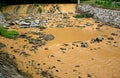 Brown water in river