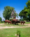 Brown Watusi Bulls and a giraffe in the zoo