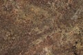 Brown weathered rock background