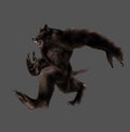 Brown Werewolf Isolated Image In A Gray Background