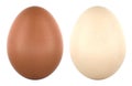 Brown and white chicken eggs front view. 3D rendering Royalty Free Stock Photo
