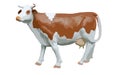 Brown and white cow, side view, isolated Royalty Free Stock Photo