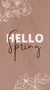 brown white cute pastel HELLO spring instagram story