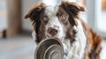 Dog Holding Its Feeding Can.AI generated image Royalty Free Stock Photo