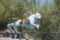 Brown and white dog in mid air after jumping off a dock Royalty Free Stock Photo