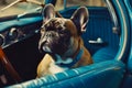 Brown and white dog sitting in the back seat of blue car. Generative AI Royalty Free Stock Photo