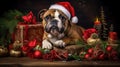 A brown and white dog wearing a santa hat, AI Royalty Free Stock Photo