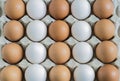 Brown and white eggs, background Royalty Free Stock Photo