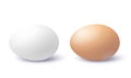 Brown and White Eggs Isolated Royalty Free Stock Photo