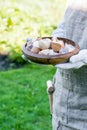 Brown and white eggshells placed in wooden bowl in hands of woman in vegetable garden background Royalty Free Stock Photo