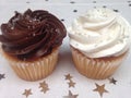 Brown and white frosted cupcakes Royalty Free Stock Photo