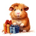 A brown and white hamster holding a present.