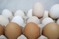 Brown and white hen eggs in carton box Royalty Free Stock Photo