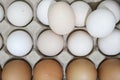 Brown and white hen eggs in carton box Royalty Free Stock Photo