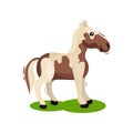 Brown-white horse standing on green grass, side view. Hoofed mammal animal. Wildlife theme. Flat vector design Royalty Free Stock Photo
