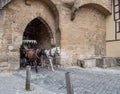 Brown and white Horses are harnessed to carts for driving tourists In Rothenburg ob der Tauber