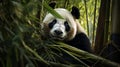 Hyper-realistic Portrait Of A Harpia Harpyja Panda Bear