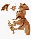 Brown-white pit bull terrier dog vector illustration making a funny face Royalty Free Stock Photo