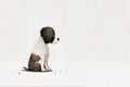 Brown and white puppy dog cartoon isolated on background in a minimalist style