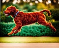 A brown and white puppy running towards the camera with its tongue hanging out of its mouth. Royalty Free Stock Photo