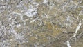Brown and white rough grainy stone texture background Royalty Free Stock Photo